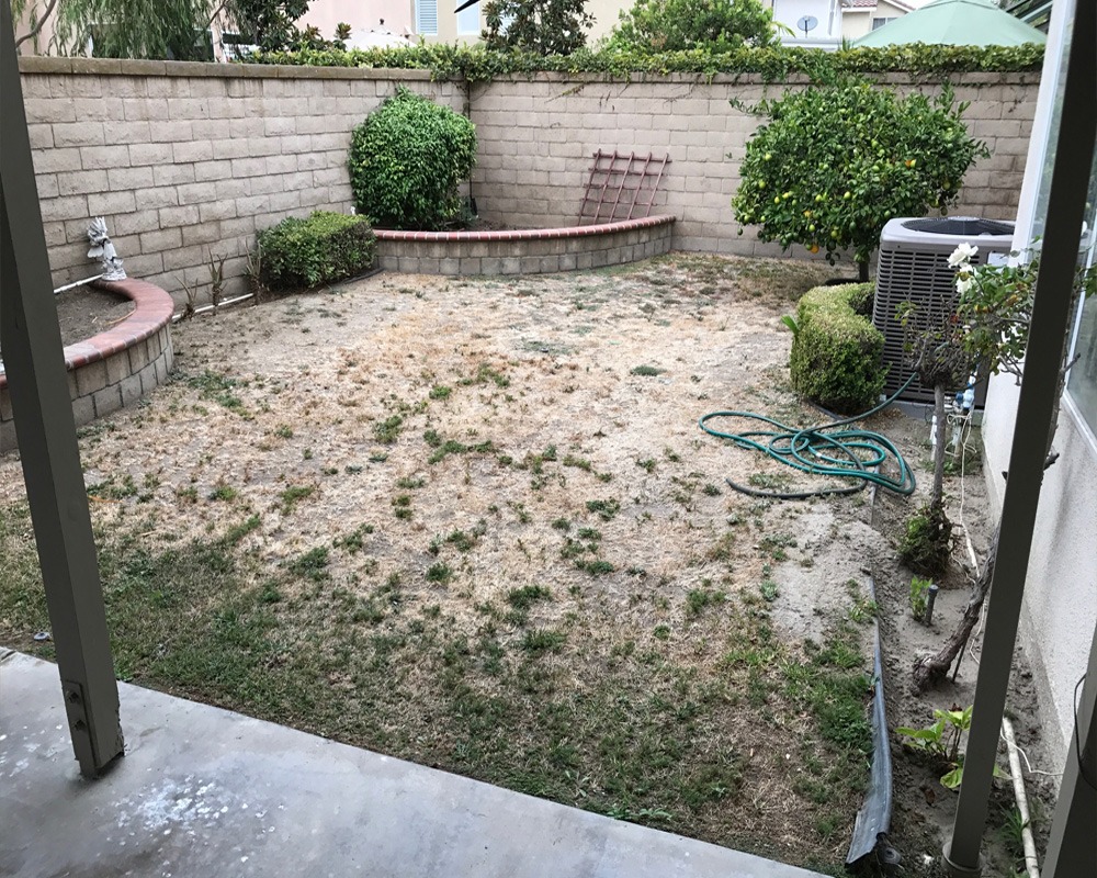 before turf installation