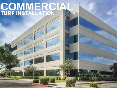 Commercial turf