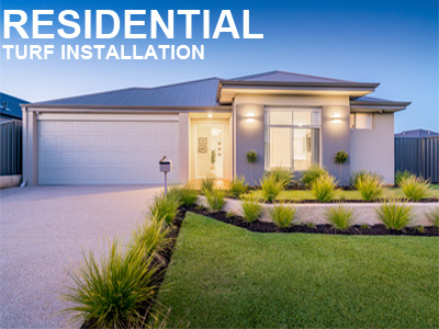 Residential turf