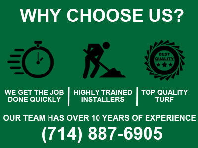 Why choose us
